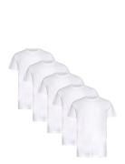 Claudio 5-Pack T-Shirt Cotton Claudio White