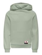 Kognoomi-Vinta Label Ls Hood Cs Swt Noos Kids Only Green