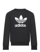 Trefoil Crew Adidas Originals Black