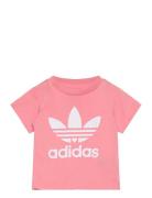 Short Tee Set Adidas Originals Pink