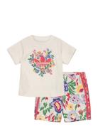 Short Tee Set Adidas Originals Patterned