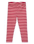 Tnstfro Rib Leggings The New Red