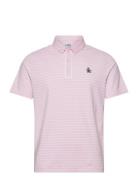Heritage Stripe Polo Original Penguin Golf Pink