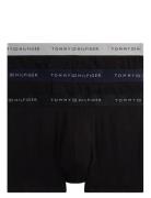 3P Trunk Metallic Wb Tommy Hilfiger Black