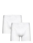 Organic Cotton Stretch Boxer 2P Björn Borg White