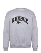 Varsity High Density Crewneck Sweat Reebok Classics Grey
