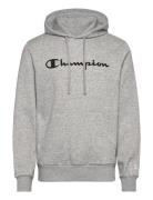 Hooded Sweatshirt Champion Grey