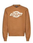 M Ruston Sweater Dickies Orange