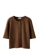 Nkflinissi Ss Card Name It Brown