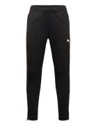 Individualliga Training Pants Jr PUMA Black