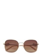Le Sustain - Metamorphosis Le Specs Brown