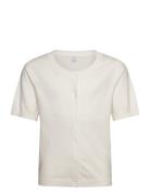 Cardigan Short Sleeve Basic Lindex Grey