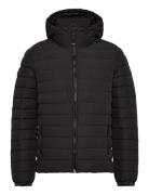 Hooded Fuji Padded Jacket Superdry Black