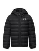 Down Jacket EA7 Black