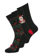 Jacxmas Reindeer Socks Giftbox Jnr Jack & J S Black