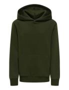 Osjceres Hoodie Swt Noos ONLY & SONS Khaki