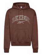 Varsity Arch Hoodie Reebok Classics Brown