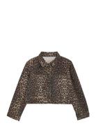 Jacket Leo Creamie Brown