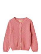 Knit Cardigan Magnella Wheat Pink