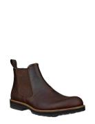 Jamestown ECCO Brown