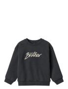 Sweatshirt L/S Sander Wheat Navy