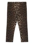 Tnstpenny Leggings The New Brown