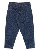 Tnstpearl Carrot Jeans The New Blue