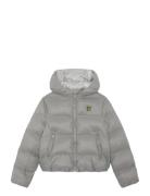 Cropped Puffer Coat Lyle & Scott Grey
