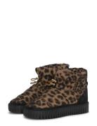 Tulip6082 Ilse Jacobsen Brown