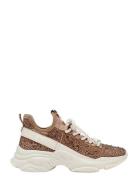 Maxima-R Steve Madden Beige