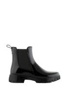 Peachy Black Lemon Jelly Black