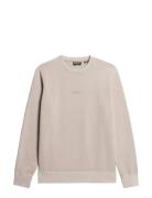 Micro Logo Crew Superdry Beige