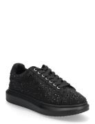 Icebox Steve Madden Black