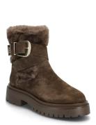 Lodge Steve Madden Brown
