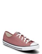 Ctas Dainty Ox Light Saddle/Egret/Black Converse Brown