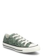 Chuck Taylor All Star Converse Khaki