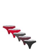 Thong 5Pk Calvin Klein Patterned