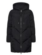 C_Piapolly BOSS Black