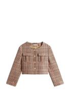 Tweed Lady Jacket Tommy Hilfiger Patterned
