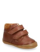 Shoes - Flat - With Velcro ANGULUS Brown
