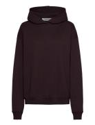Cph Hoodie 7 Cotton Burgundy Copenhagen Studios Burgundy
