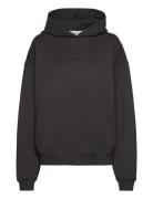 Cph Hoodie 7 Cotton Burgundy Copenhagen Studios Black