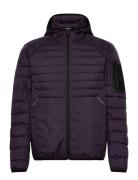 Ow_Urbanex Jt Hd BOSS Purple