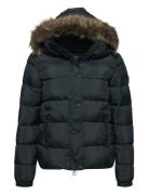 Vintage Hooded Mid Layer Short Superdry Sport Black