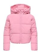 Kogmalia Short Puffer Jacket Ot Otw Kids Only Pink