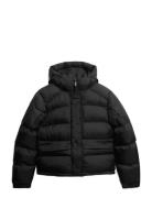 Hooded Tech Padded Jkt Superdry Sport Black