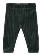 Pants Velour Corduroy En Fant Green