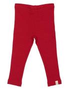 Legging Modal Petit Piao Red