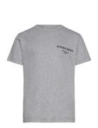 Borg Essential 1 T-Shirt Björn Borg Grey