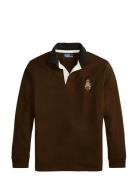 Classic Fit Polo Bear Rugby Shirt Polo Ralph Lauren Brown